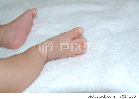 寶寶的腳 5014190