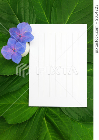 繡球花與字母 5014225