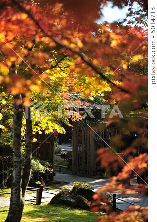 日本門診2的秋葉 5014713