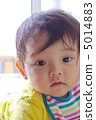 11月004 5014883