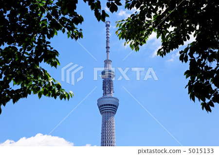 東京天空樹傳播的藍天和綠色葉子 5015133