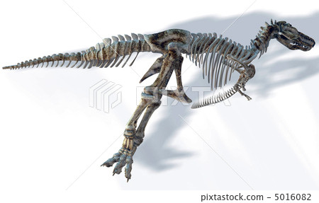 T-REX Bone ☆ Tyrannosaurus 5016082