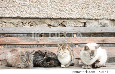 pelage, mum, zero 5016192