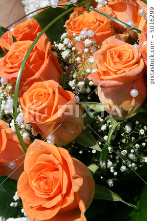 wedding detail 5016299