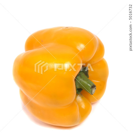 pepper pepper 5016732