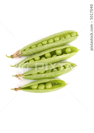 peas 5017040