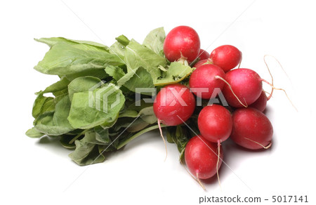 radish 5017141
