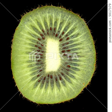 kiwi background kiwi background 5017379