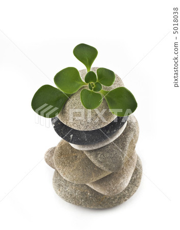 Life - balanced stone tower with green plant Life - balanced stone tower with green plant 5018038