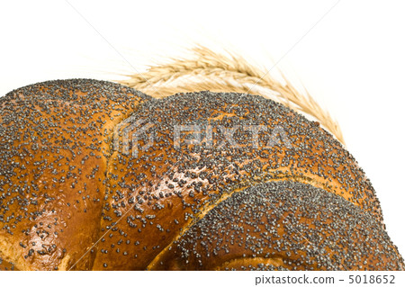 Closeup of bagel and wheat corn isolated Closeup of bagel and wheat corn isolated 5018652