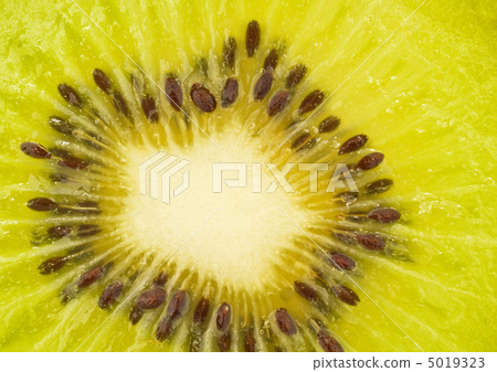 Extreme closeup of kiwi fruit Extreme closeup of kiwi fruit 5019323