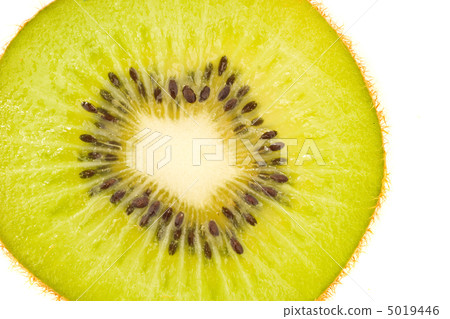 Tasty, green and fresh - kiwi fruit slice Tasty, green and fresh - kiwi fruit slice 5019446