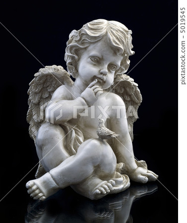 An angel and a dove 5019545