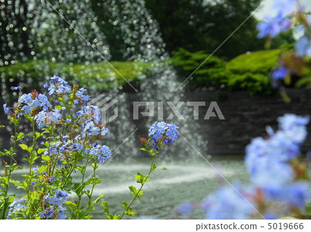 June Ruri Matsuri · Isodatsu 05 June Ruri Matsuri · Isodatsu 05 5019666