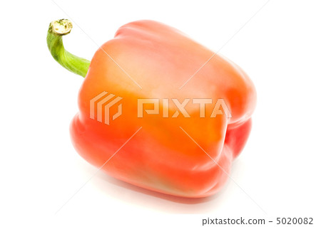 Sweet pepper on white 5020082