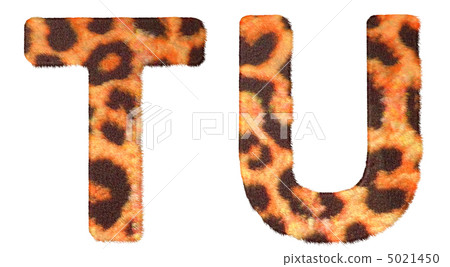 Leopard fur T and U letters isolated Leopard fur T and U letters isolated 5021450