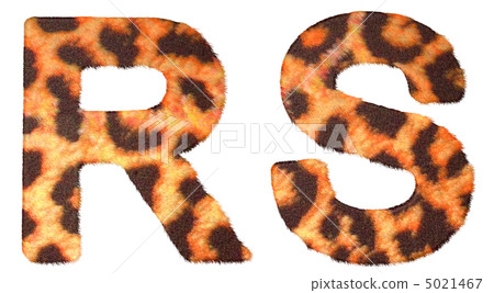Leopard fur R and S letters isolated 5021467