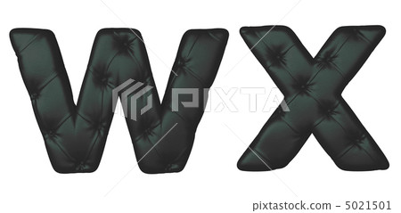 Luxury black leather font W X letters 5021501