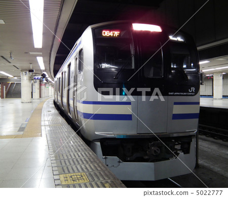 Yokosuka Sobu Quick Line E 217系列東京站 5022777