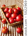 Apple  5022969