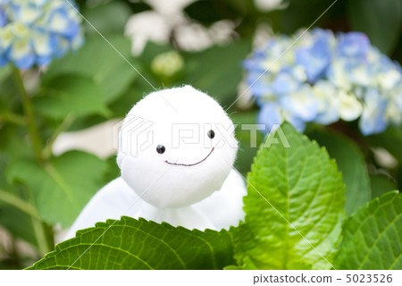 繡球花繡球花 5023526