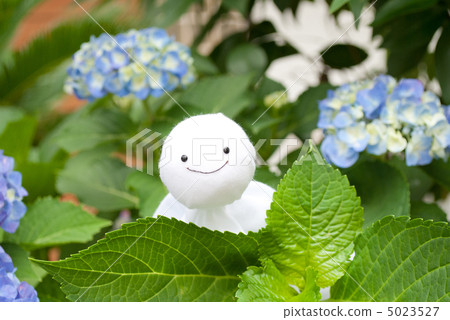 Hydrangea with a hydrangea Hydrangea with a hydrangea 5023527