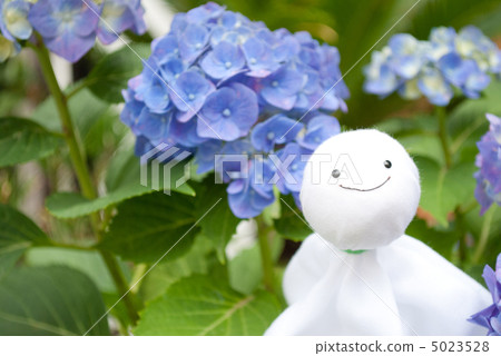 Hydrangea with a hydrangea 5023528