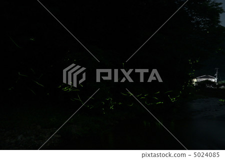 Fireflies footprints 5024085