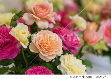 玫瑰花束 5024242