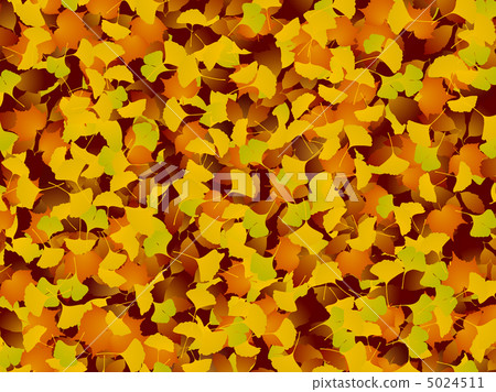Fallen leaves  5024511