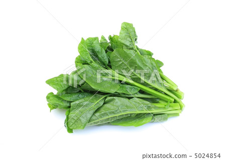 Tsurumurasaki 5024854