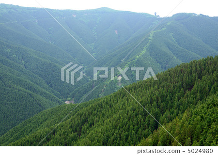 Kumano Kodo小區 Kumano Kodo小區 5024980