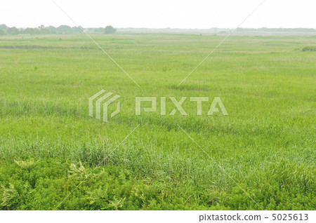 Watarase Setoji 5025613