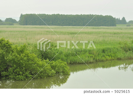 Watarase Setoji 5025615