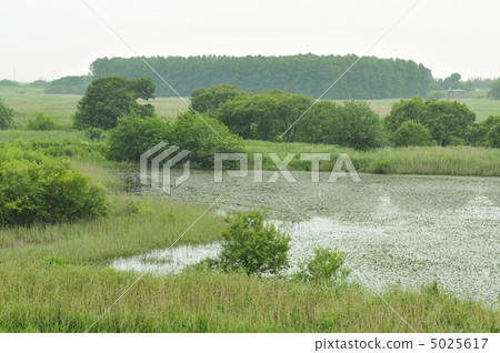 Watarase Setoji 5025617