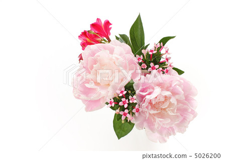 Arrangement of Peony, Boudia and Alstroemeria (2 in total) Arrangement of Peony, Boudia and Alstroemeria (2 in total) 5026200
