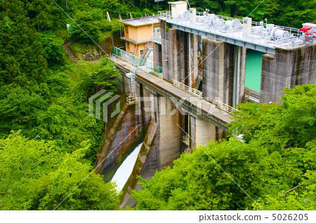 Fresh green and white round dam 5026205