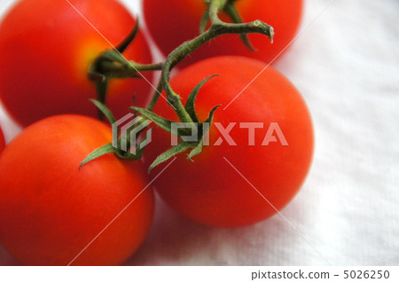 Mini Tomato Mini Tomato 5026250