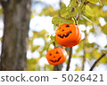 Halloween  5026421
