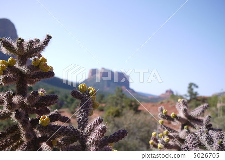 從塞多納聖十字教堂 5026705