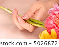美甲 5026872