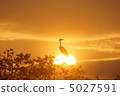 夕陽和鳥類2 夕陽和鳥類2 5027591