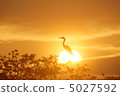 夕陽和鳥類3 夕陽和鳥類3 5027592