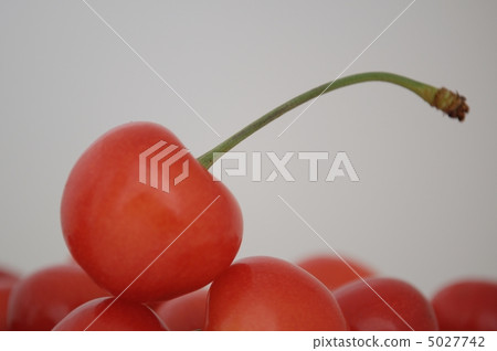 Cherry Cherry 5027742