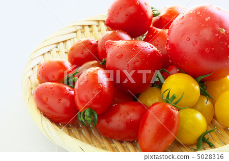 新鮮的西紅柿 5028316