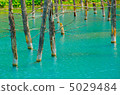 Blue pond 5029484