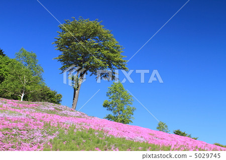 Takigami Park 5029745