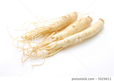 Ginseng 5029811