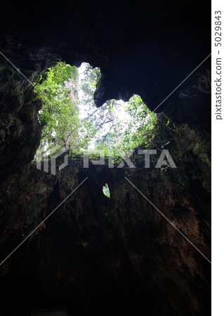 Wilson stock 5029843