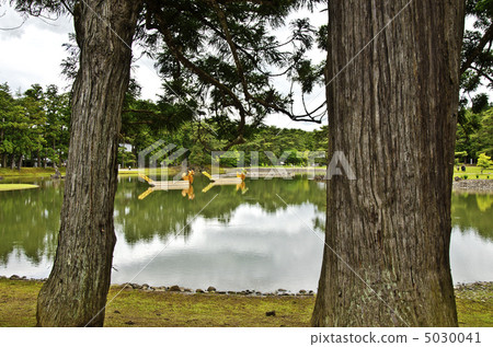 Pure-land gardens of Hikoshi-ji 5030041